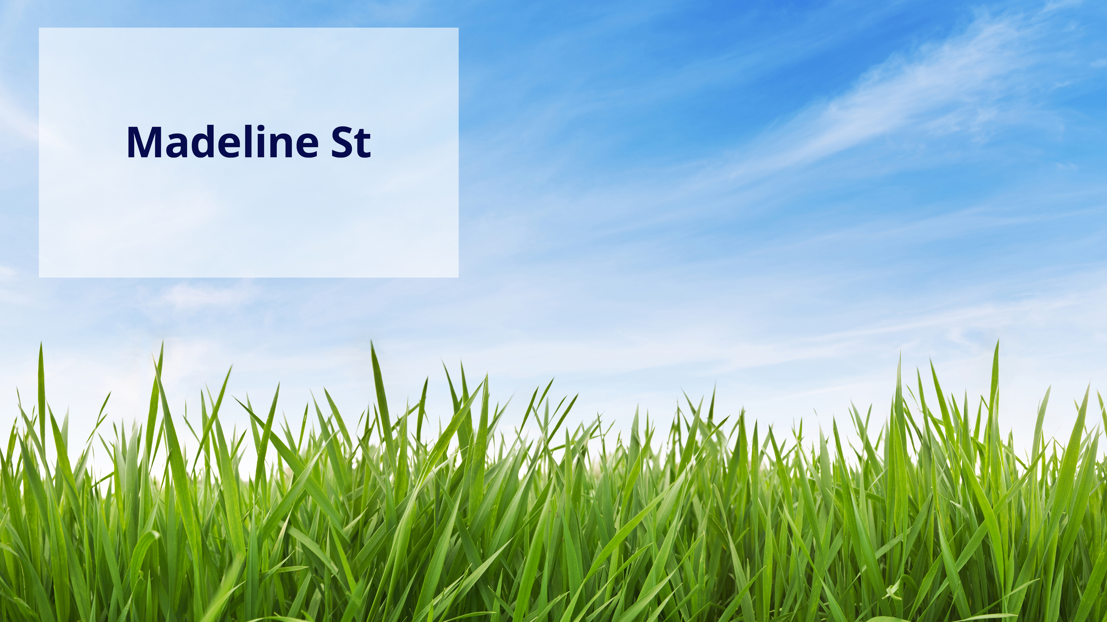 Madeline Street Heddon Greta Madeline Street Heddon Greta