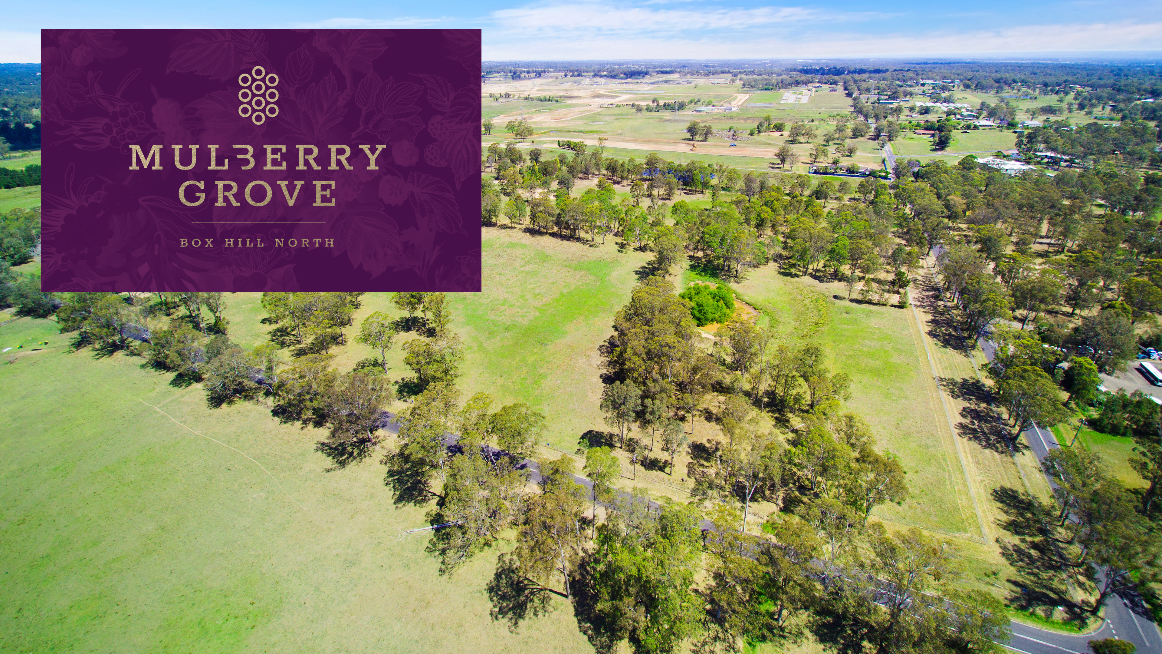 Mulberry Grove Mulberry Grove