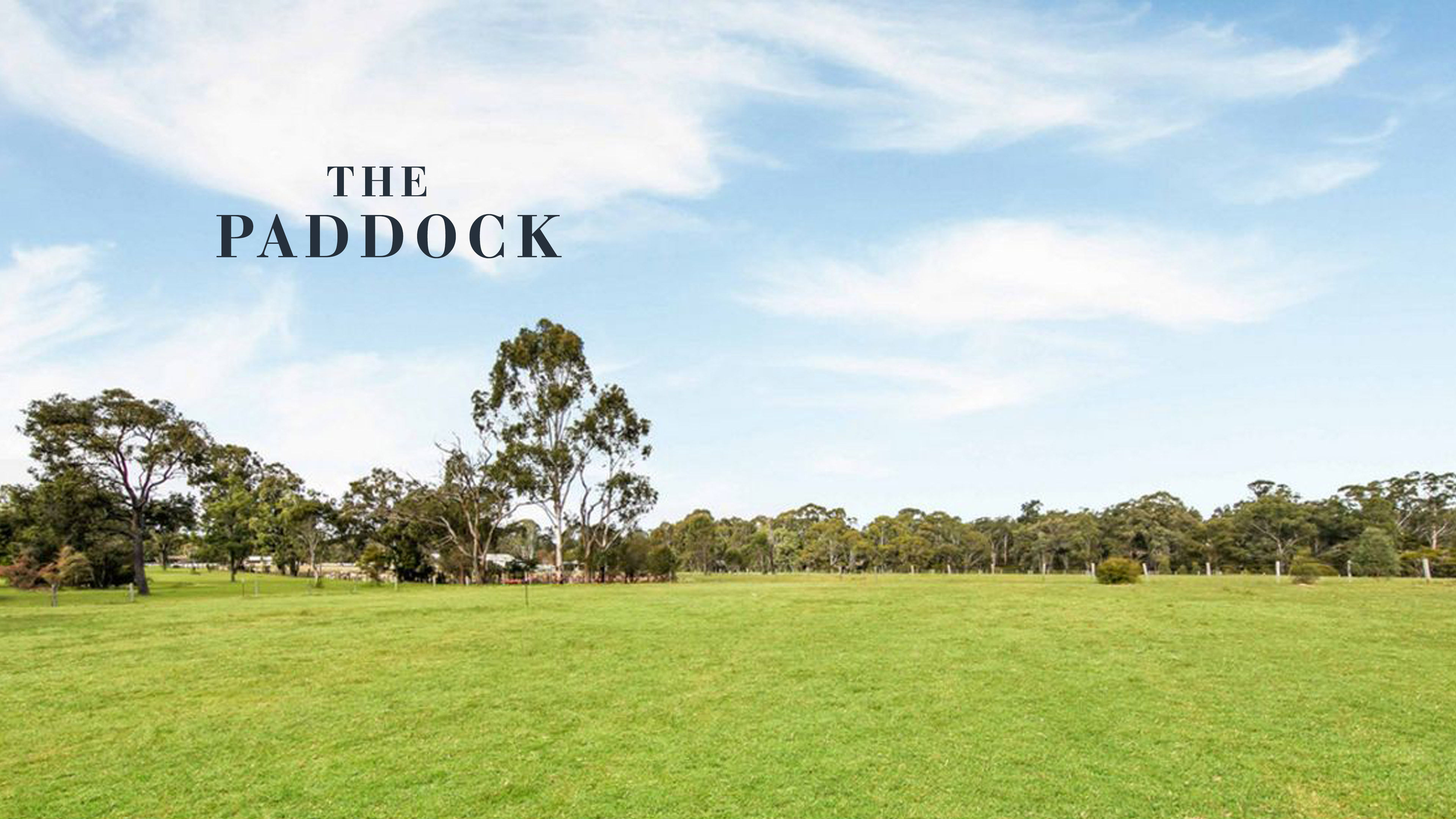The Paddock Estate The Paddock Estate