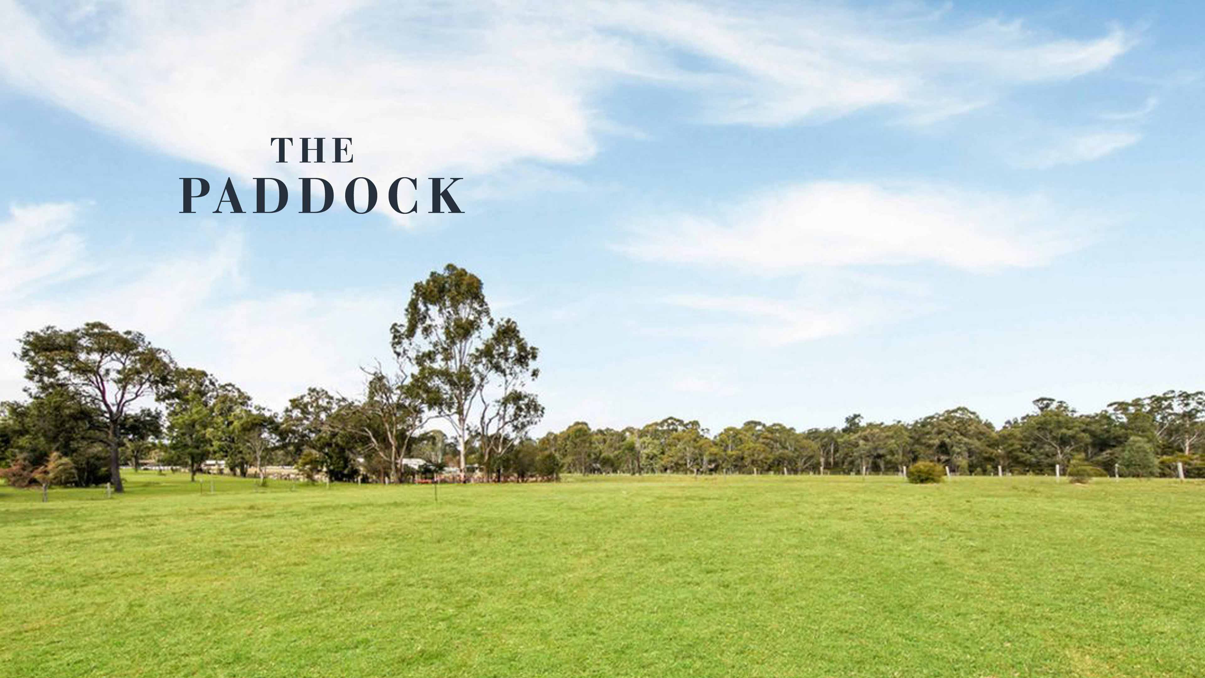 The Paddock Estate The Paddock Estate
