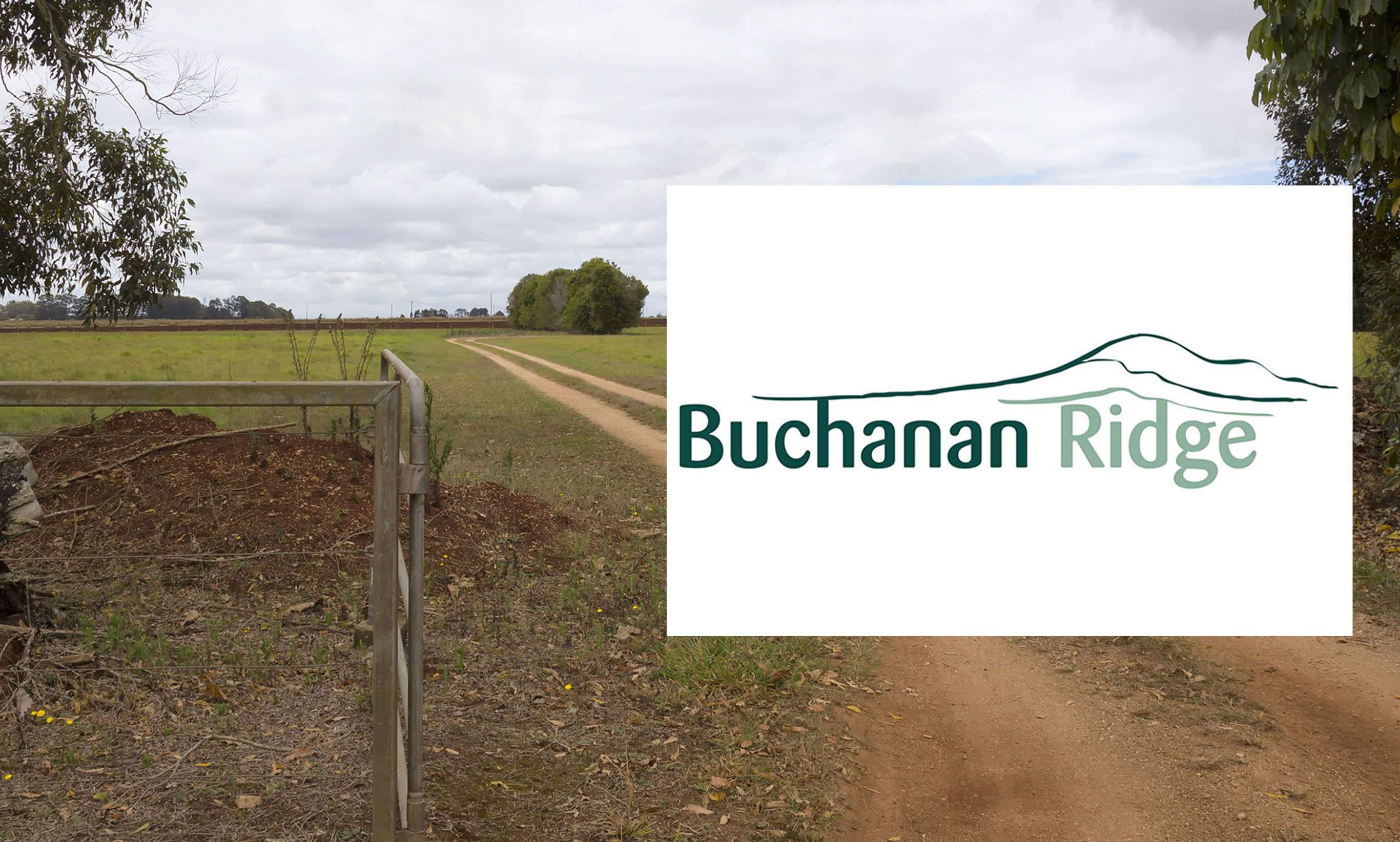 buchanan-ridge-estate-header