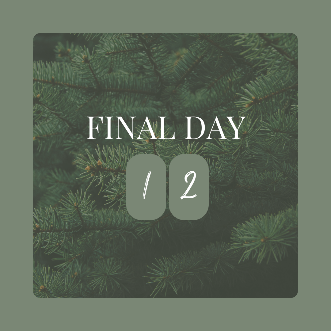 12_days_of_christmas_giveaways_day_12_mcdonald_jones