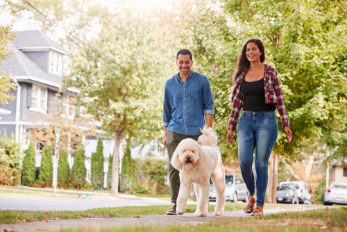 Couple walking dog in neighbourhood 