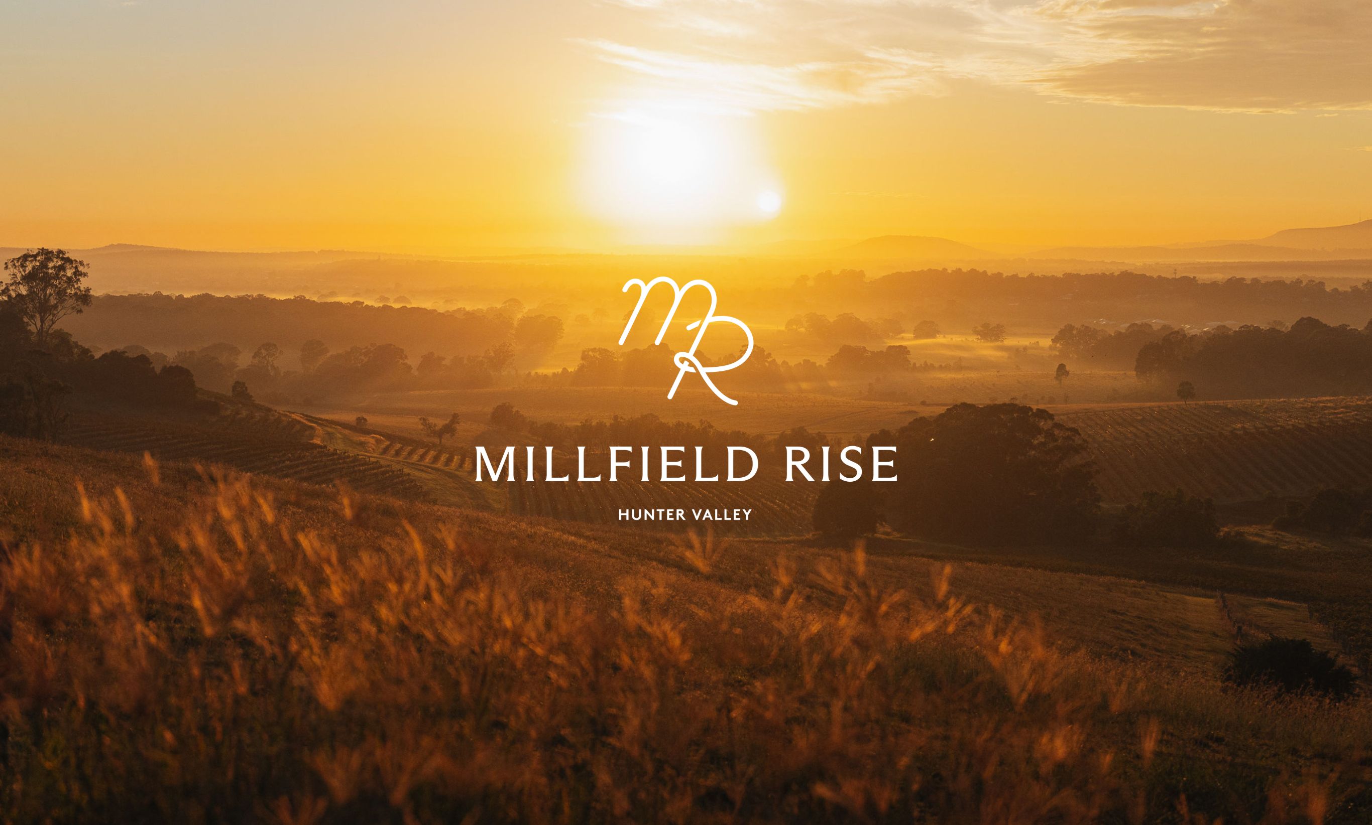 Millfield Rise Estate McDonald Jones hunter valley