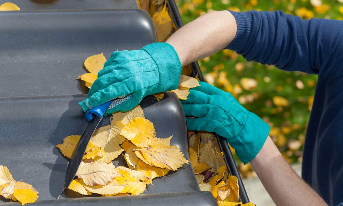 A Leafy Problem: Keeping Gutters Free of Debris