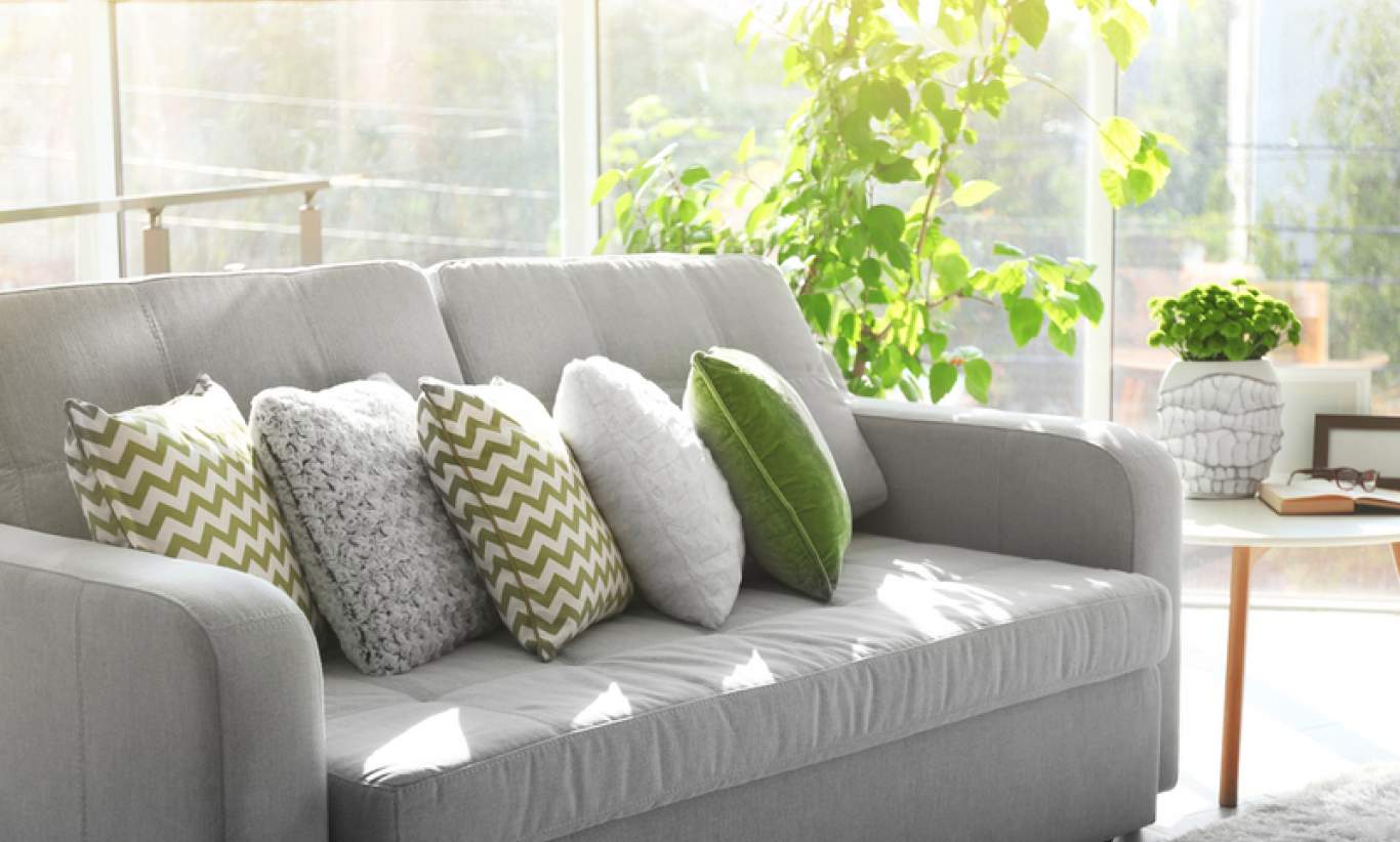 David jones cheap pillows