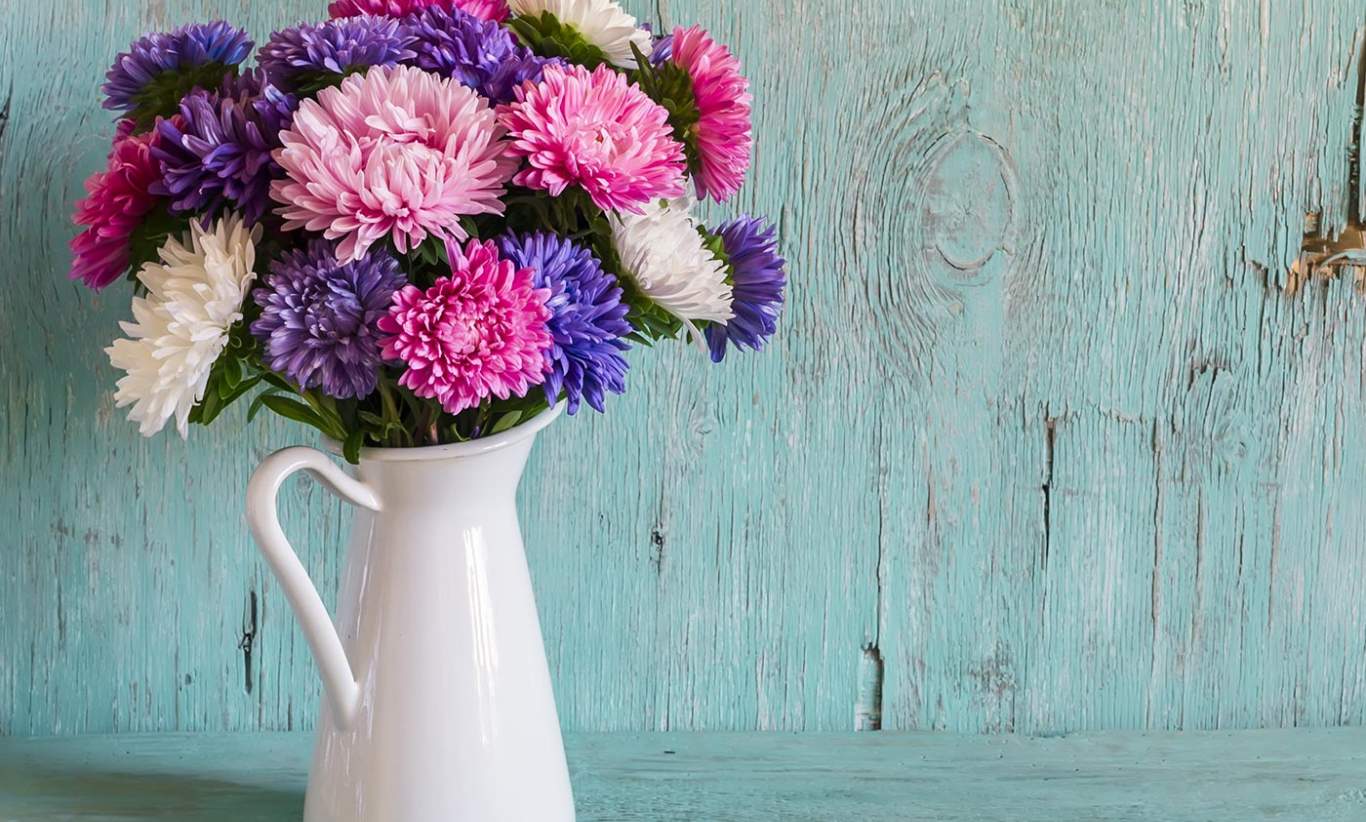 Plants and Flowers for an Australian Autumn