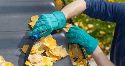 A Leafy Problem: Keeping Gutters Free of Debris