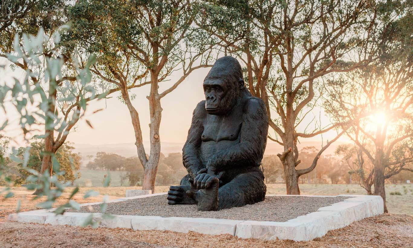 house and land estate in maitland the loxford gorilla